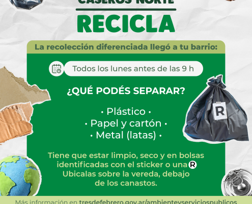 Flyer reciclado - recicla 2026_Mesa de trabajo 1 copia 12 (2)