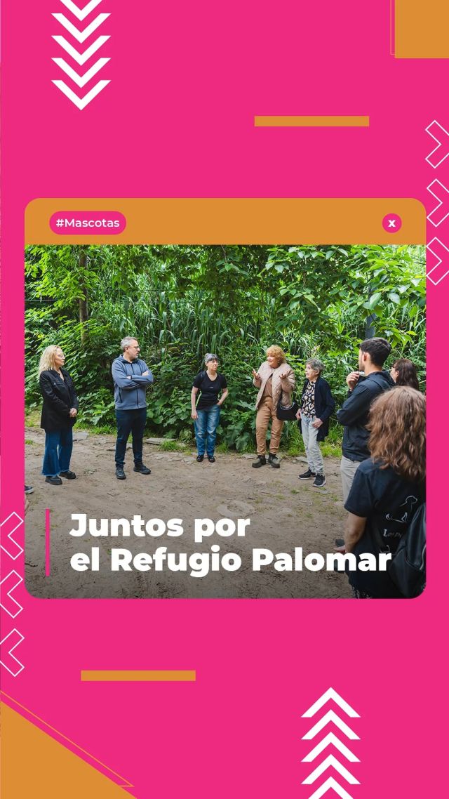 Ellos también merecen lo mejor 🐾🐕

Visitamos el Refugio Palomar que está siendo relocalizado dentro del mismo predio en la Base Aérea. En esta nueva etapa van a reforestar todo el espacio y mientras crecen los árboles, se colocará media sombra para garantizar bienestar y resguardo. Un trabajo enorme que va a permitirles cuidar a los animales con mejores condiciones y un entorno más seguro.

En @losperritosdelpalomarefugio hoy tienen 120 perros a su cuidado. Rescatan animales de Zoonosis Tres de Febrero, los recuperan y les buscan familias que les den el amor que se merecen.

Desde la Municipalidad acompañamos este proceso y agradecemos profundamente el compromiso y el amor con el que trabajan todos los días ❤️