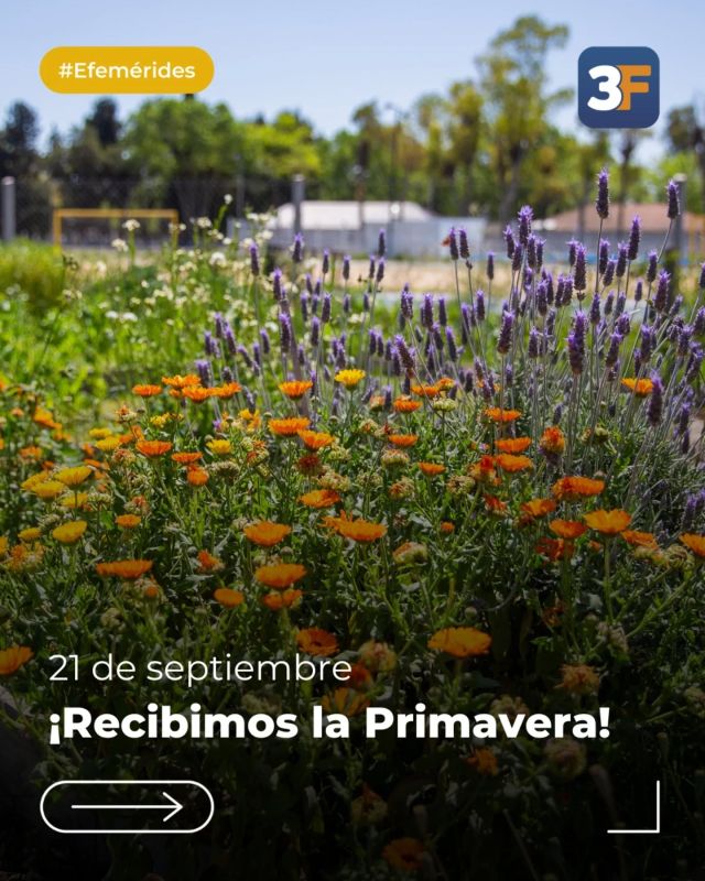 ¡La primavera llega a #3F! 💐🪻

Celebramos el Dia del Estudiante, el Día del Fotógrafo y recibimos la primavera con algunas de las más lindas postales de #TresDeFebrero. 

Que hermosos estos entornos que nos acompañan cada día y rodean nuestros espacios educativos y recreativos.

Color, naturaleza y nuestros barrios. ¿Qué más podemos pedir? 📷🤩