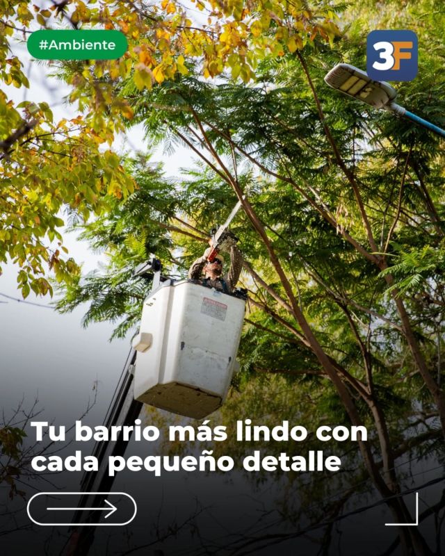 Pequeños detalles que hacen la diferencia en tu vida 💡🌳

Sabemos lo importante que es la seguridad de nuestros vecinos en todo sentido. Por eso, a lo largo de estos meses complementamos nuestro trabajo de cuidarte con acupuntura urbana: una iniciativa enfocada en mejorar pequeños detalles del entorno para hacer una gran diferencia en el día a día.

Realizamos jornadas de poda de árboles y colocamos más luminarias en puntos clave de #Caseros, #SáenzPeña, #CiudadJardín, #SantosLugares, #MartínCoronado y #PabloPodestá. Iluminamos mejor tu barrio para brindarte mayor tranquilidad al circular en todo horario por las calles de todo el municipio.

¡Seguimos creciendo y trabajando por vos y por un #3F más lindo! 🍃💚