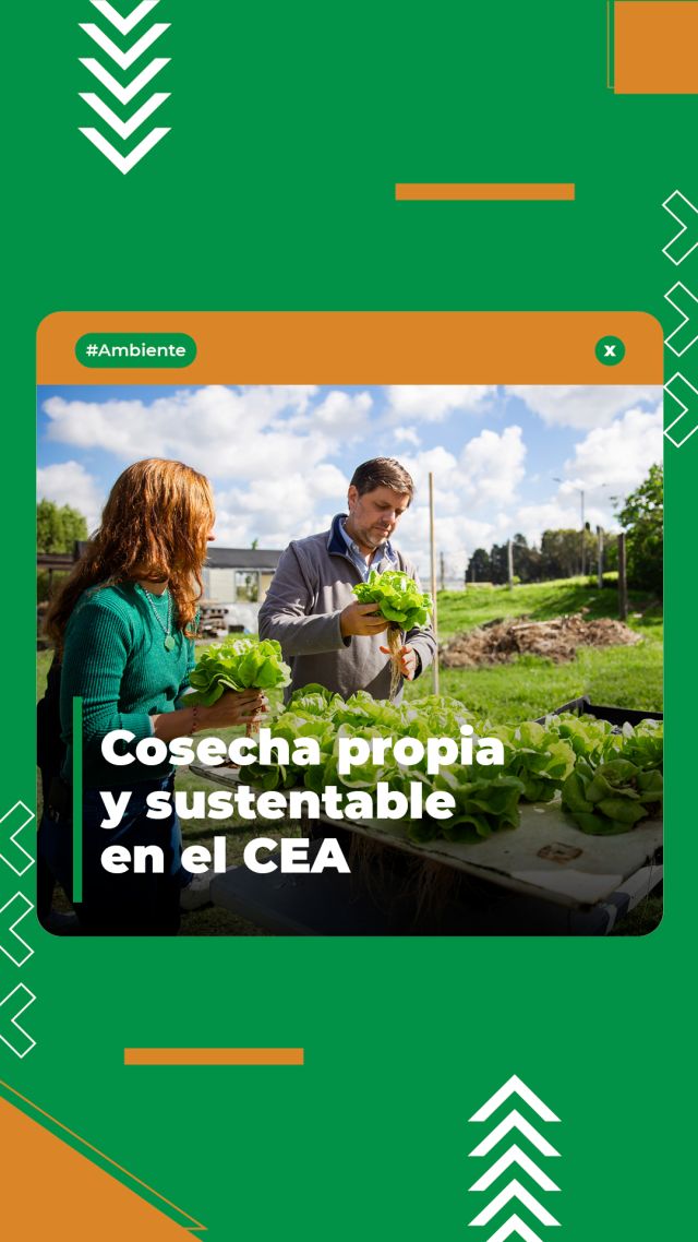 ¡Más producción sustentable en el CEA! 🥬👏

Vivimos una nueva jornada de recolección de lechuga hidropónica en el Centro Educativo Ambiental de #Caseros. Seguimos produciendo alimentos de calidad de forma innovadora y cuidando nuestro entorno en #3F.

Si querés aprender este oficio, ya está abierta la inscripción para la Formación de Productores Hidropónicos que arranca el sábado 9 de mayo. Son tres encuentros para conocer todo sobre el armado, nutrición y venta de cultivos. 

¡Cupos limitados! Anotate en 👉 www.tresdefebrero.gov.ar/centroeducativoambiental