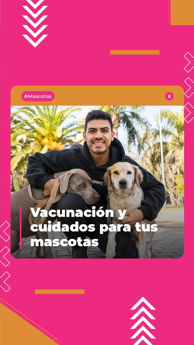 ¡Celebramos el cuidado de tus mascotas! 🐶🐱

Revivimos un poco de lo que fue la última jornada de vacunación antirrábica en El Campito de #Ciudadela en el marco del Día Mundial de la Zoonosis que conmemora la primera vacuna exitosa desarrollada por Louis Pasteur en 1885.

Nos alegra poder brindar este servicio y promover el cuidado responsable de los animales que tanto cariño dan a los vecinos de #3F. ¡Seguimos concientizando para prevenir cualquier enfermedad que afecte a tu familia y nuestros amigos de cuatro patas! 🐾

👉 Conocé el cronograma del Hospital Veterinario Móvil y más iniciativas en: www.tresdefebrero.gov.ar/mascotasde3f