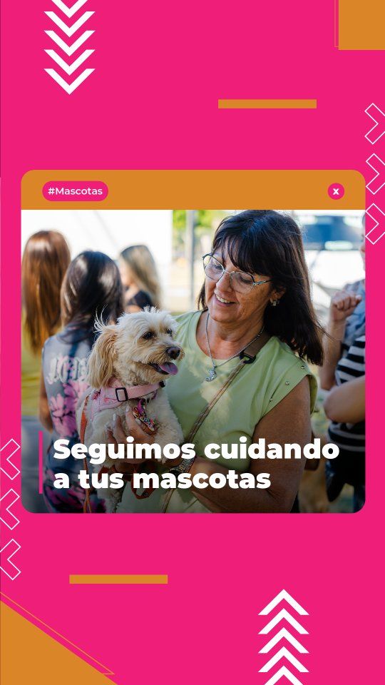 Cuidá a quienes más querés 🐶🐱

La salud animal no falla en #TresDeFebrero y nuestro equipo está siempre activo para asegurar el bienestar de estos vecinitos tan especiales con recorridos constantes por cada barrio.

Te mostramos un poco de lo que fue la última jornada por #AltosdePodestá donde las familias se acercaron para acceder a servicios de vacunación antirrábica, desparasitación y castración. 

Recordá que el Hospital Veterinario Móvil sigue su camino por las localidades y aún hay muchas jornadas desde este lunes 16 hasta el lunes 30 de marzo. ¡Consultá la grilla y acercate! 🚑🐾

👉 Conocé todos los detalles y cronogramas en: www.tresdefebrero.gov.ar/mascotasde3f