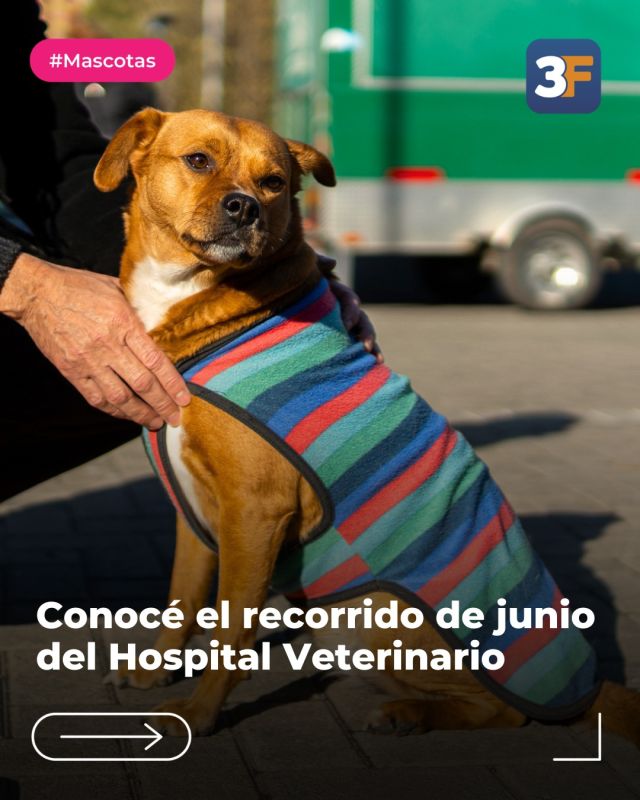 Cuidamos la salud de tu fiel compañía 🐶🐱

Junio llega con un cronograma súper completo del Hospital Veterinario Móvil para que puedas asegurar la salud de tus mascotas con atención de calidad y cerca de casa. 

Mirá las distintas fechas del recorrido y acercate para acceder a vacunación antirrábica, desparasitación y esterilización para tu amigo gatuno o perruno. Tené en cuenta que debe ser mayor de tres meses y que el servicio se suspende por lluvia.

👉 Conocé toda la información y más jornadas en: www.tresdefebrero.gov.ar/mascotasde3f
