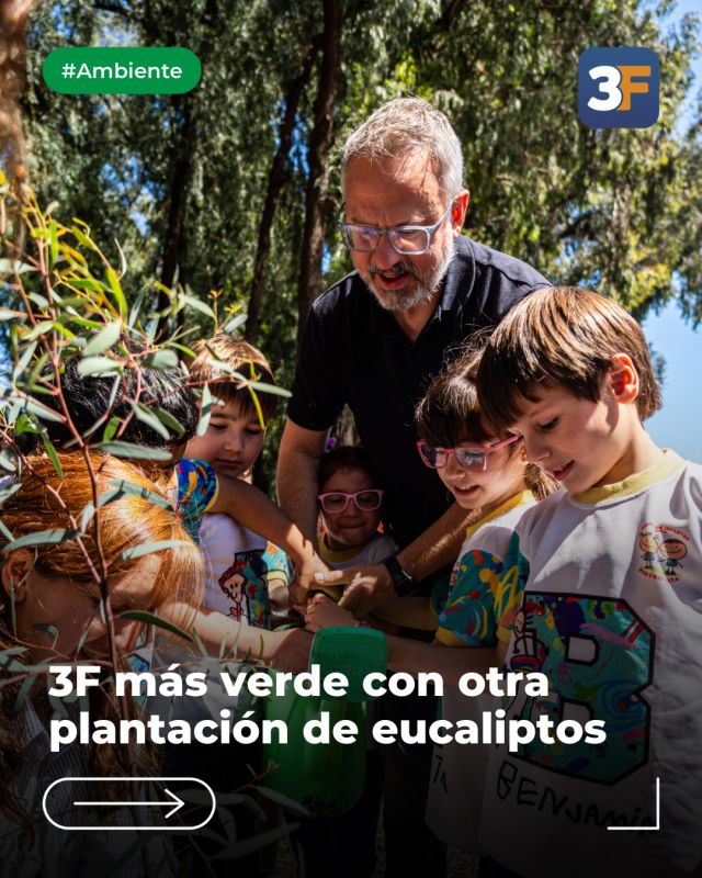 Los hijos de los eucaliptos ya crecen en el Bosque 🌱💚

Junto a nuestros vecinitos del Jardín Pietro Testa, nos reunimos otra vez en el querido Bosque de los Eucaliptos de #VillaBosch para plantar más ejemplares de esta especie tan importante para nuestra identidad. Y, gracias al INTA, se trata de los propios hijos de nuestros árboles.

Estamos muy orgullosos de mantener y sumar cada vez más vegetación a los espacios verdes de #TresDeFebrero porque cuidar estos pulmones es un proceso constante que debemos llevar adelante entre todos con mucho cariño.

¡A protegerlos para que crezcan sanos y fuertes junto a las nuevas generaciones! 🌳🍃