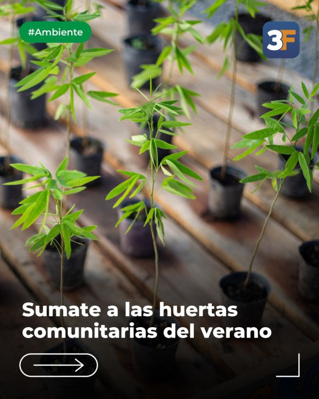 Manos a la tierra en la Huerta Comunitaria 🌱 🪴

¡La huerta vuelve a ser punto de encuentro en el #BarrioEsperanza! El Centro Educativo Ambiental te invita a participar los miércoles 7 y 21 de enero y el 4 y 18 de febrero por la mañana para aprender procesos de siembra, trasplante, cosecha, mantenimiento y limpieza.

Un espacio abierto para aprender, compartir y conectarnos con la naturaleza mientras conocemos prácticas sustentables ¡ideal para grandes y chicos!

Conocé más detalles 👉 www.tresdefebrero.gov.ar/centroeducativoambiental