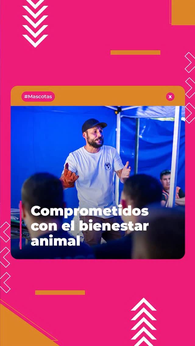 Por patitas más felices 🐾❤️‍🩹

En #TresDeFebrero te escuchamos y buscamos siempre mejorar por el bienestar de todos en el municipio. Esta vez, nos toca sumar nuevas herramientas para cuidar mejor y proteger a nuestros vecinitos de cuatro patas.

Con este objetivo, compartimos una jornada de capacitación en cuidado animal junto a @fer_pieroni, @fundacion.planetavivo.arg y @apadrinar_3f para que nuestros equipos de zoonosis, seguridad y Defensa Civil estén más que preparados a la hora de rescatar y asistir a animales maltratados o en riesgo.

¡El bienestar animal es un compromiso de todos! ¡A seguir trabajando por ellos! 💪🤝