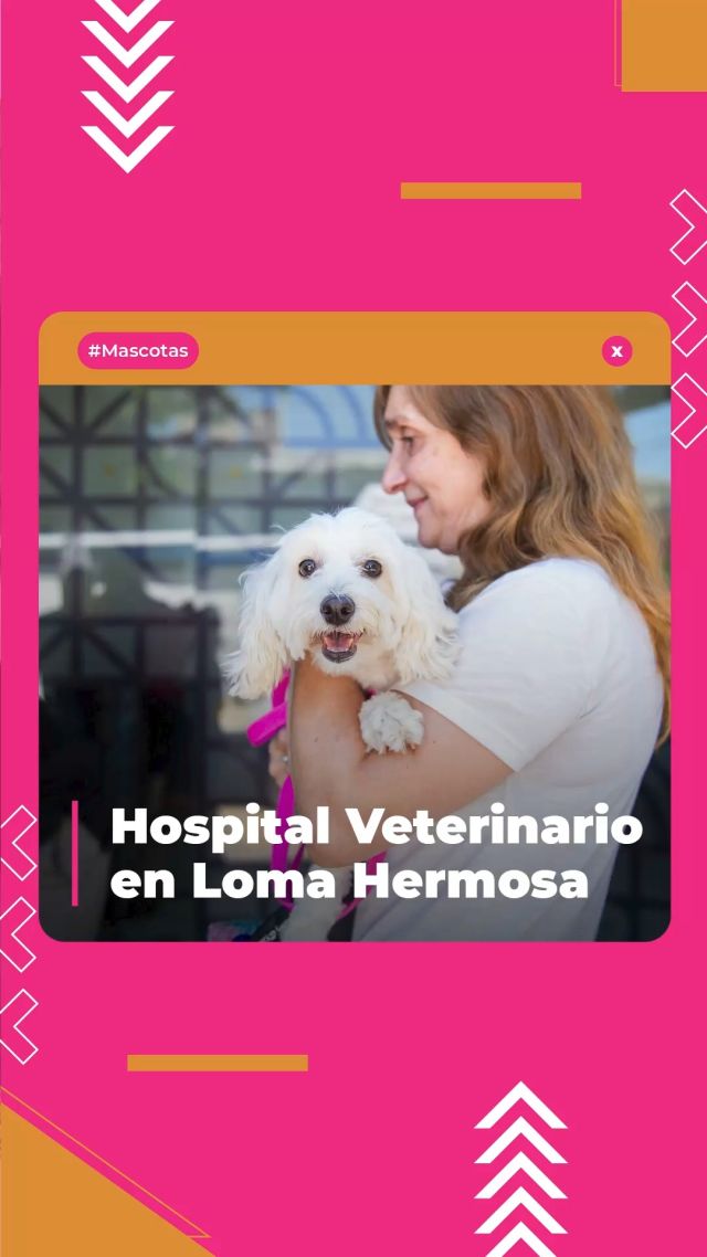 Cuidamos a tu mascota 🐾🐕🐈

Cada semana, el Hospital Veterinario Móvil recorre los barrios de #TresDeFebrero para que accedas a la atención veterinaria gratuita. Podés accerder a servicios de vacunación, castración y desparasitación para cuidar a tus mascotas.

✅ Las jornadas no requieren turno previo y se suspenden por lluvia.
✅ Para la vacunación antirrábica deben tener más de 3 meses.

Conocé el cronograma de cada semana acá 👉🏻 www.tresdefebrero.gov.ar/mascotasde3f