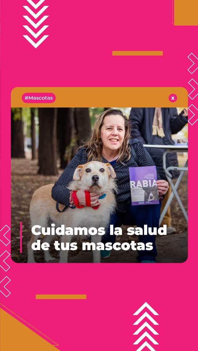 Salud sobre patas en 3F 🐶🐱

En #VillaBosch vivimos otra jornada de cariño, vacunas y cuidados para nuestros compañeros de cuatro patas. El Hospital Veterinario Móvil estuvo en la Plaza de los Eucaliptos, ofreciendo vacunación antirrábica y desparasitación gratuita para mascotas mayores de 3 meses.

Gracias a todas las familias que se acercaron y al equipo que hace posible que nuestras mascotas estén protegidas y sanas 🧡

👉 El Hospital sigue recorriendo los barrios de #TresDeFebrero. Conocé los próximos operativos en: www.tresdefebrero.gov.ar/mascotasde3f